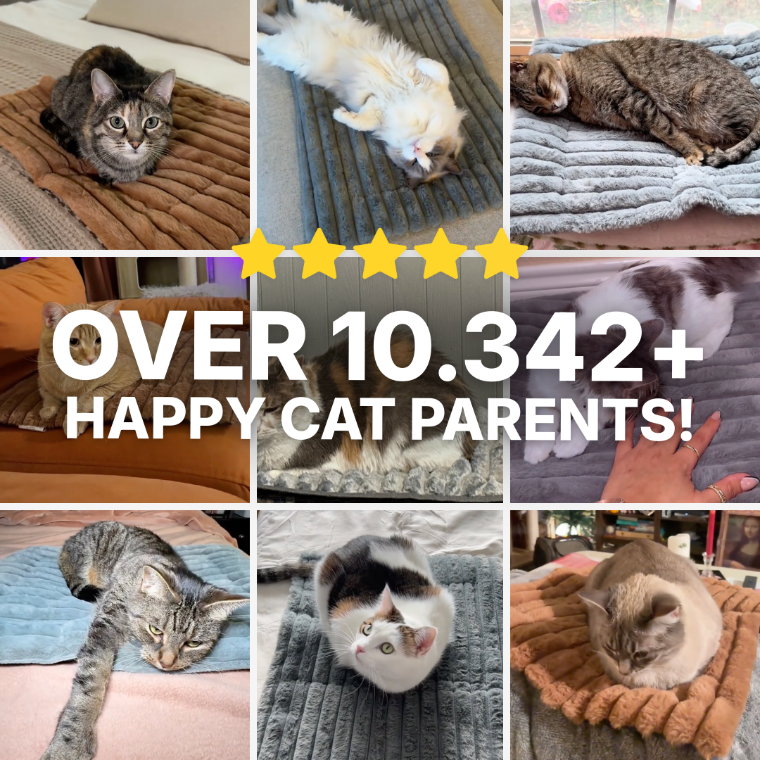 WhiskerSnug™ Self-Warming Cat Mat